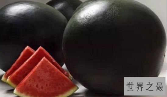 清点9种寰球最贵食物 为土豪而生的“黄金”食物