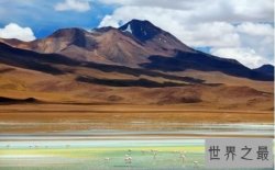 【图】全世界最难签的国家开放落地签 难签程度曾被为