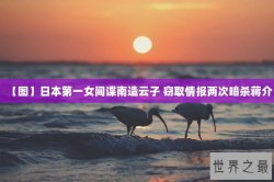 【图】日本第一女间谍南造云子 窃取情报两次暗杀蒋介