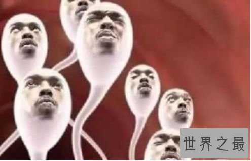 世界上最大的男性生殖器 清点男性生殖器的奇葩之最