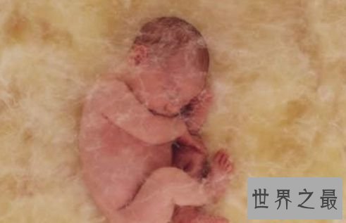 世界上最大的男性生殖器 清点男性生殖器的奇葩之最