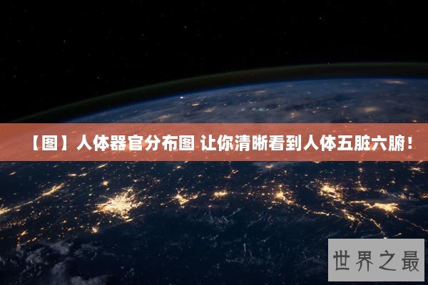 【图】人体器官分布图 让你清晰看到人体五脏六腑！