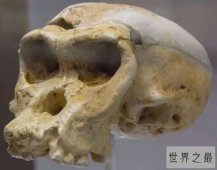 【图】研究人员发现已知最早海啸遇难者 确认在距今六