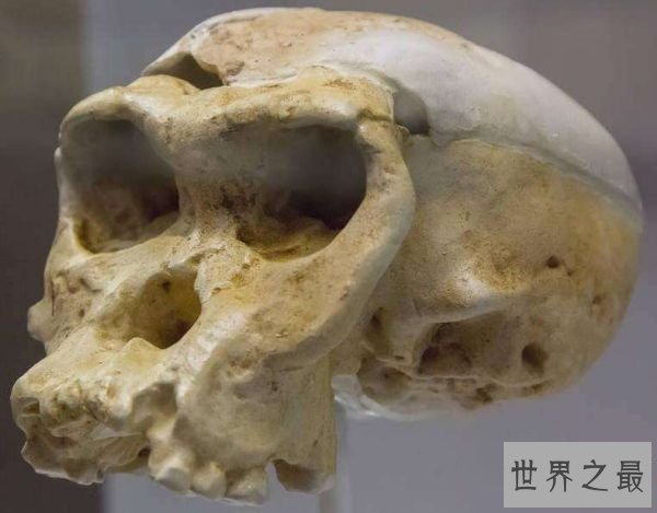 钻研人员发现已知最早海啸遇难者 确认在距今六千年前遇难