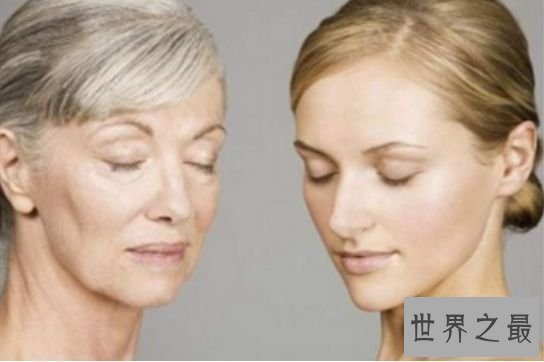 人体最大的器官是什么 感知所有的器官——皮肤