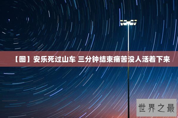 【图】安乐死过山车 三分钟结束痛苦没人活着下来