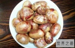 【图】菠萝蜜的核怎么吃？小编教你如何吃得安全有滋