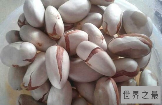 【图】菠萝蜜的核怎样吃？小编教你如何吃得平安有滋