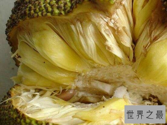 【图】菠萝蜜的核怎样吃？小编教你如何吃得平安有滋