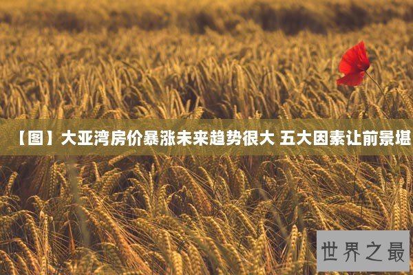 【图】大亚湾房价暴涨未来趋势很大 五大因素让前景堪 【图】大亚湾房价暴涨未来趋势很大 五大因素让前景堪