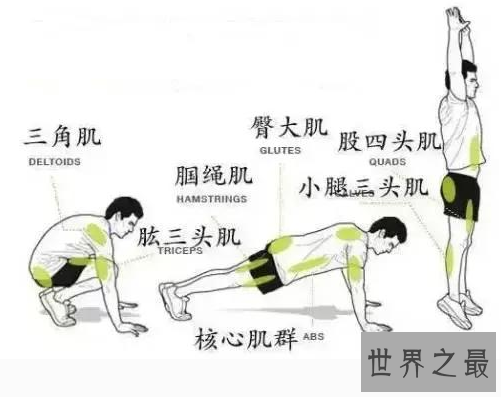 【图】以后最火波比静止，脂肪杀手(10分钟耗费115大卡