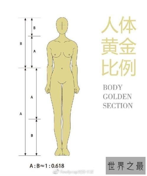 【图】身体比例影响到你的颜值 如何测量本人的身体是