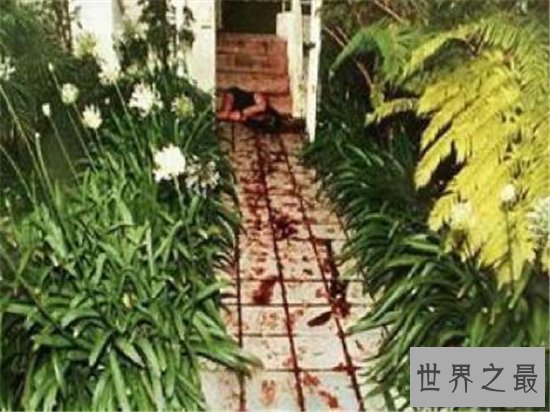 【图】辛普森案震惊全世界 案发前他曾是最伟大的运动