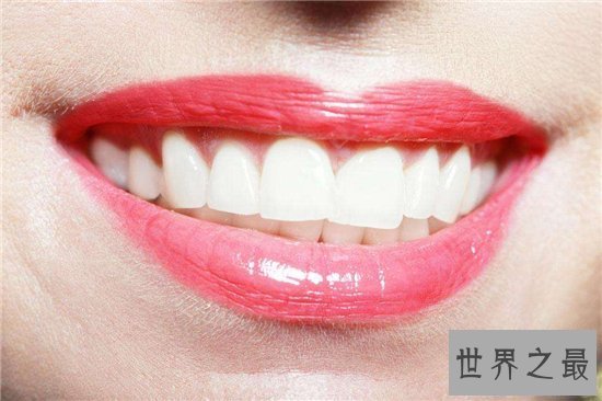 【图】人有多少颗牙齿 8种牙齿不拔出影响身材疾病