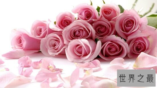 【图】情人节是几月几号？可不仅有2月14日