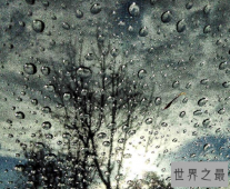 【图】人生四大喜事，如若逢四件大概做梦都会笑醒了
