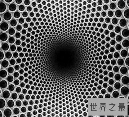 【图】有密集恐怖症？不要怕教你几招快速处理它