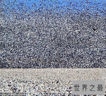 【图】有密集恐怖症？不要怕教你几招快速处理它