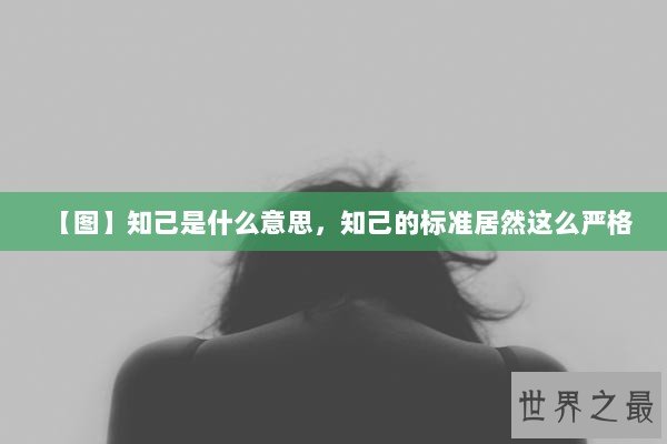 【图】知己是什么意思，知己的标准居然这么严格