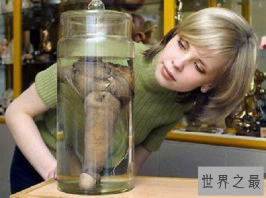 【图】“大吊妖僧”拉斯普京（长达28.5cm）真的具备超