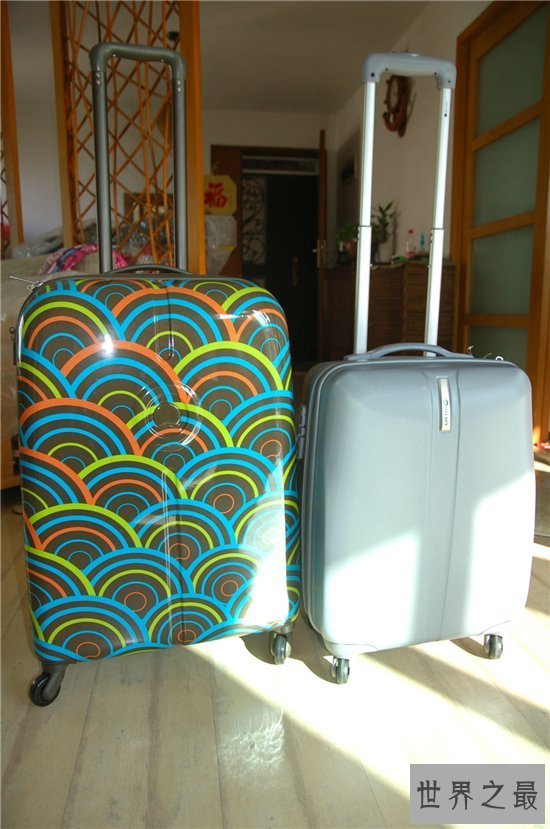 【图】十大性价比最高的拉杆箱品牌 新秀丽成为当下最