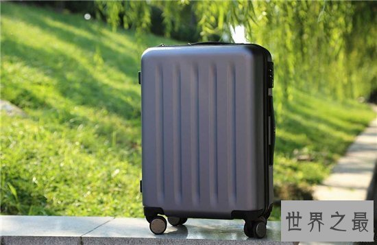 【图】十大性价比最高的拉杆箱品牌 新秀丽成为当下最
