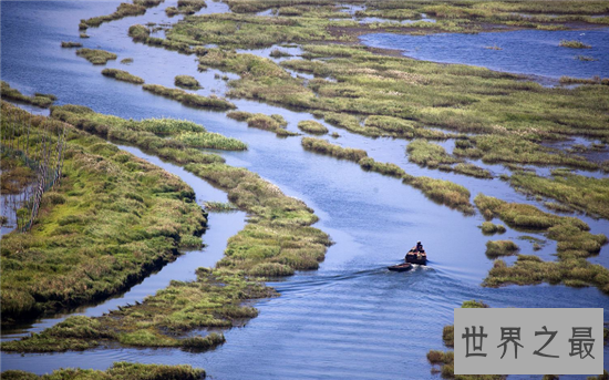 【图】中国最大的淡水湖鄱阳湖 水质下降存在四大原因