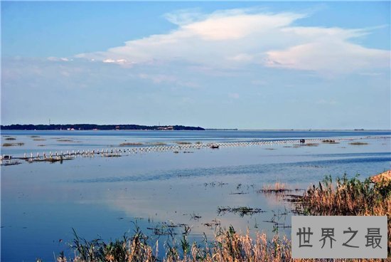 【图】中国最大的淡水湖鄱阳湖 水质下降存在四大原因