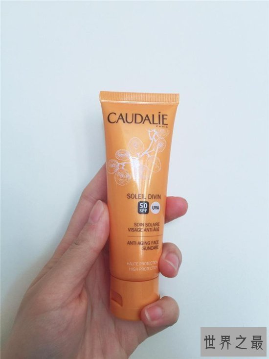 【图】寰球十大防晒霜排行榜 安热沙ANESSA成为最热门产