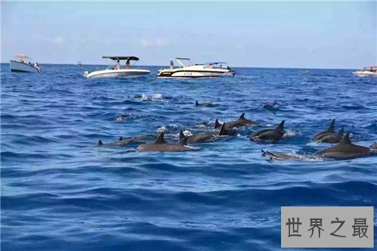 【图】七大洲四大洋分别是哪些 面积最小的是北冰洋