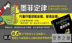 【图】墨菲定律真的是你越怕啥就来啥 怎样避免墨菲定