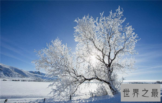 【图】厄尔尼诺现象带来渺小损失 给中国形成很大影响