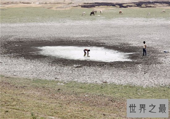 【图】厄尔尼诺现象带来渺小损失 给中国形成很大影响