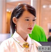【图】中科大美女机器人研制多年 集美貌和智慧于一身