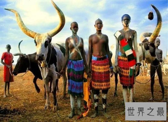 【图】世界上最黑的人丁卡人，以牛为生越黑血缘越好