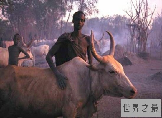 【图】世界上最黑的人丁卡人，以牛为生越黑血缘越好