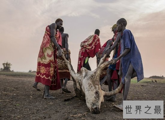 【图】世界上最黑的人丁卡人，以牛为生越黑血缘越好