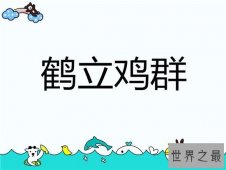 【图】鹤立鸡群的故事典故 主人公嵇绍才华横溢气度不