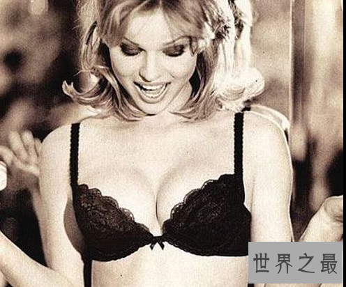 【图】世界十大文胸品牌，优雅美丽的超模之维密(维密