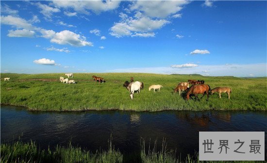 【图】中国四大草原之一锡林郭勒草原 七大景点让你流