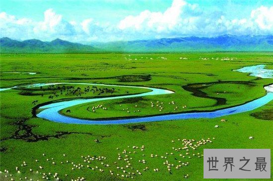 【图】中国四大草原之一锡林郭勒草原 七大景点让你流