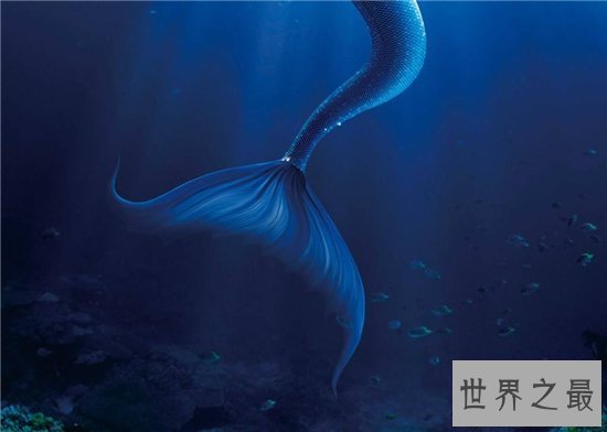 【图】世界上有没有美人鱼 曾有科学家以为是猴子和鱼