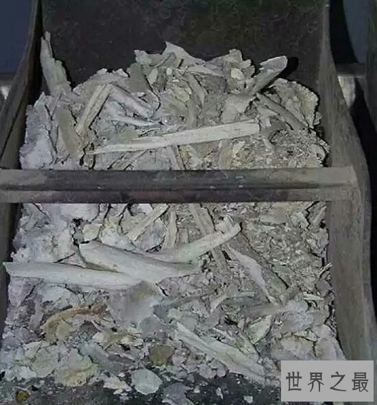 【图】在火葬场所需求知道的忌讳（胆怯勿进）