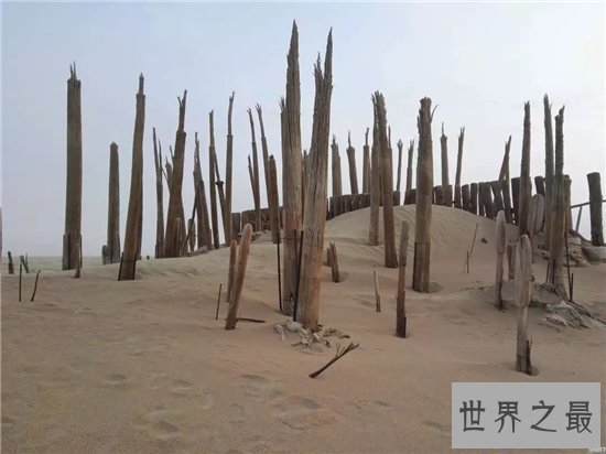【图】罗布泊双鱼玉佩事情 六大疑点削减奥秘色调