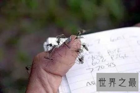 【图】蚊子青睐叮咬什么血型的人 有这五种特点的人要