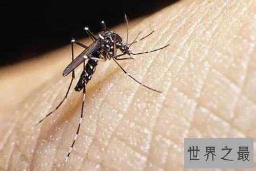 【图】蚊子青睐叮咬什么血型的人 有这五种特点的人要