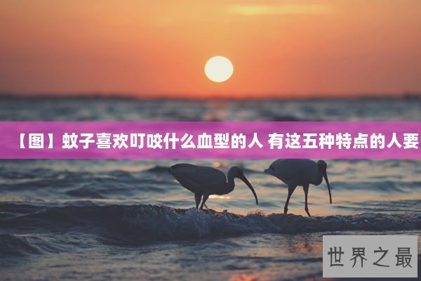 【图】蚊子喜欢叮咬什么血型的人 有这五种特点的人要 【图】蚊子喜欢叮咬什么血型的人 有这五种特点的人要