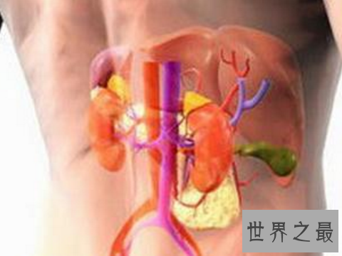 【图】不断打嗝,七种身材疾病成绩的警示(不要小瞧打