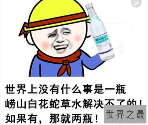 【图】崂山白花蛇草水,总统特饮(超级难喝)
