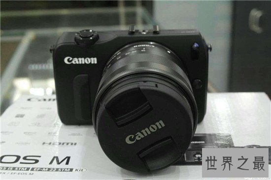 【图】日本品牌单反相机排行榜 佳能相机成为业界的霸
